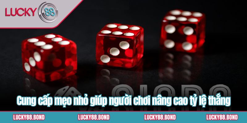 Cung cấp mẹo nhỏ giúp người chơi nâng cao tỷ lệ thắng