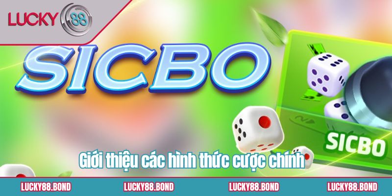 Giới thiệu các hình thức cược chính