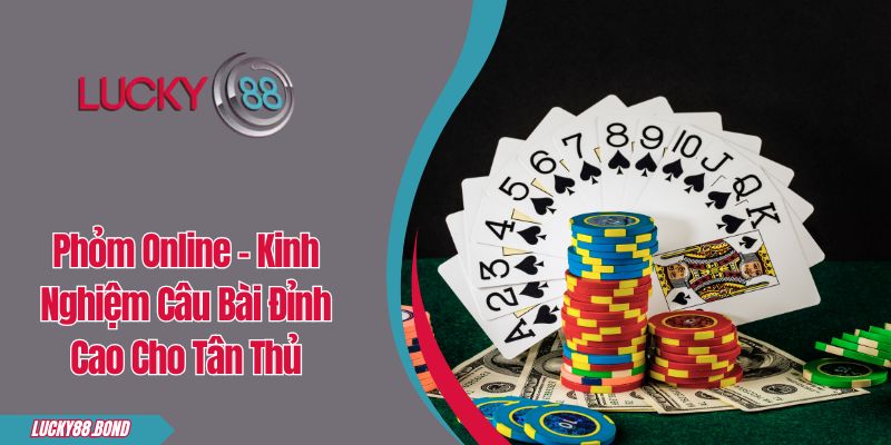 Phỏm Online - Kinh Nghiệm Câu Bài Đỉnh Cao Cho Tân Thủ