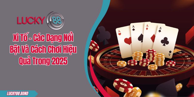 Xì Tố - Các Dạng Nổi Bật Và Cách Chơi Hiệu Quả Trong 2025